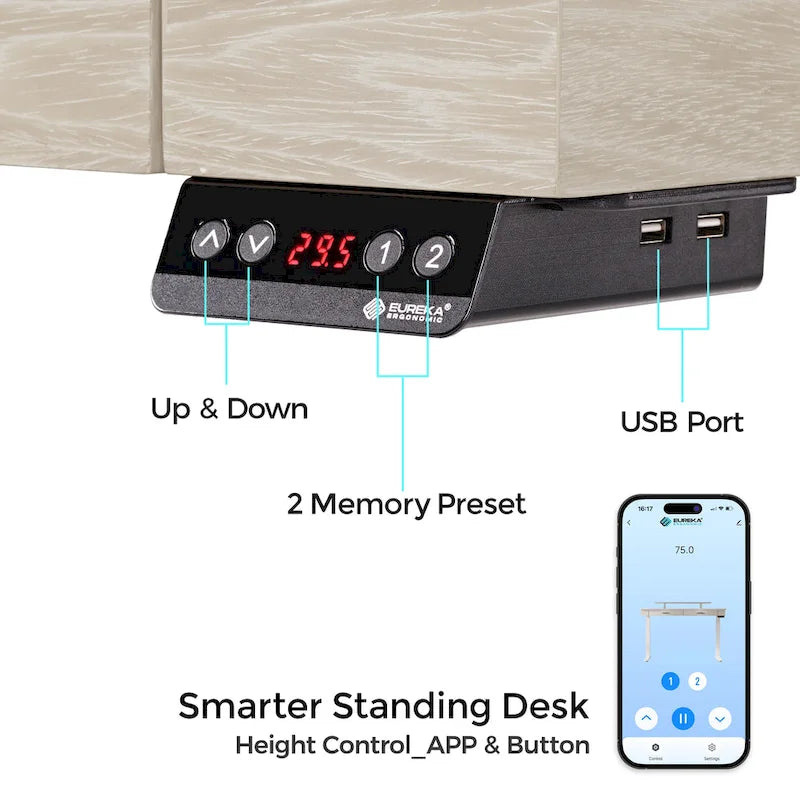 Bureau debout ergonomique 55" en ardoise avec 2 tiroirs et support d'écran